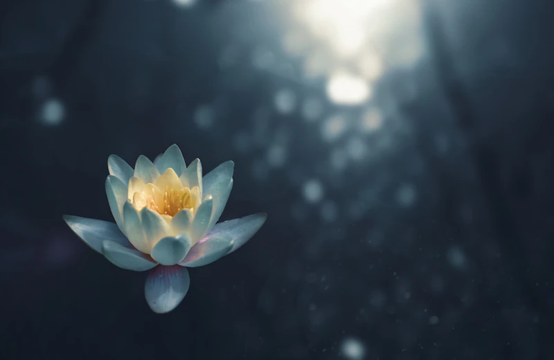 breathing exercise relaxation